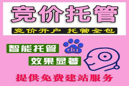 百度竞价代运营案例：电商行业逆袭